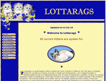 Tablet Screenshot of lottarags.com